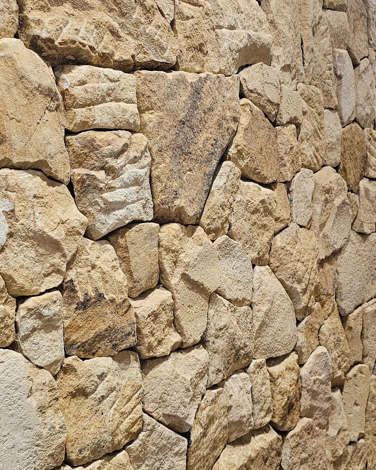 Local materials and tropical architecture — Balanz Studio